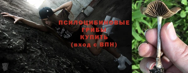 прущие грибы Заводоуковск
